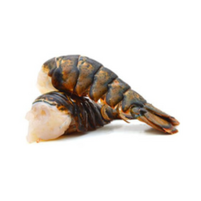 Lobster