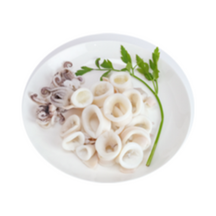 Squid-1